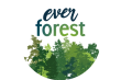 ever forest